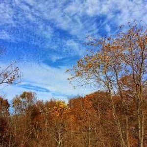 Meet your Posher, Lois